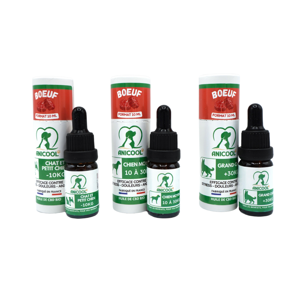 Huile de chanvre ANICOOL pour animaux Spectre Large 10% - Saveur boeuf 10 ml